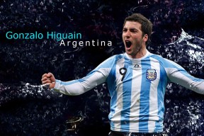 九游官网-球队分析：哪些球队有望冲击冠军，有没有球队全胜夺冠