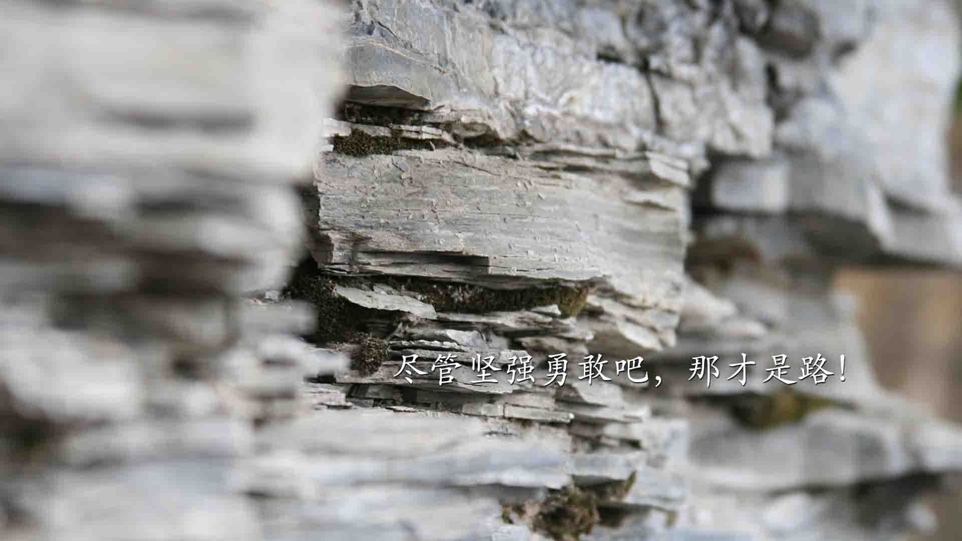 球场“坚若磐石”：最难攻破的后防线揭秘