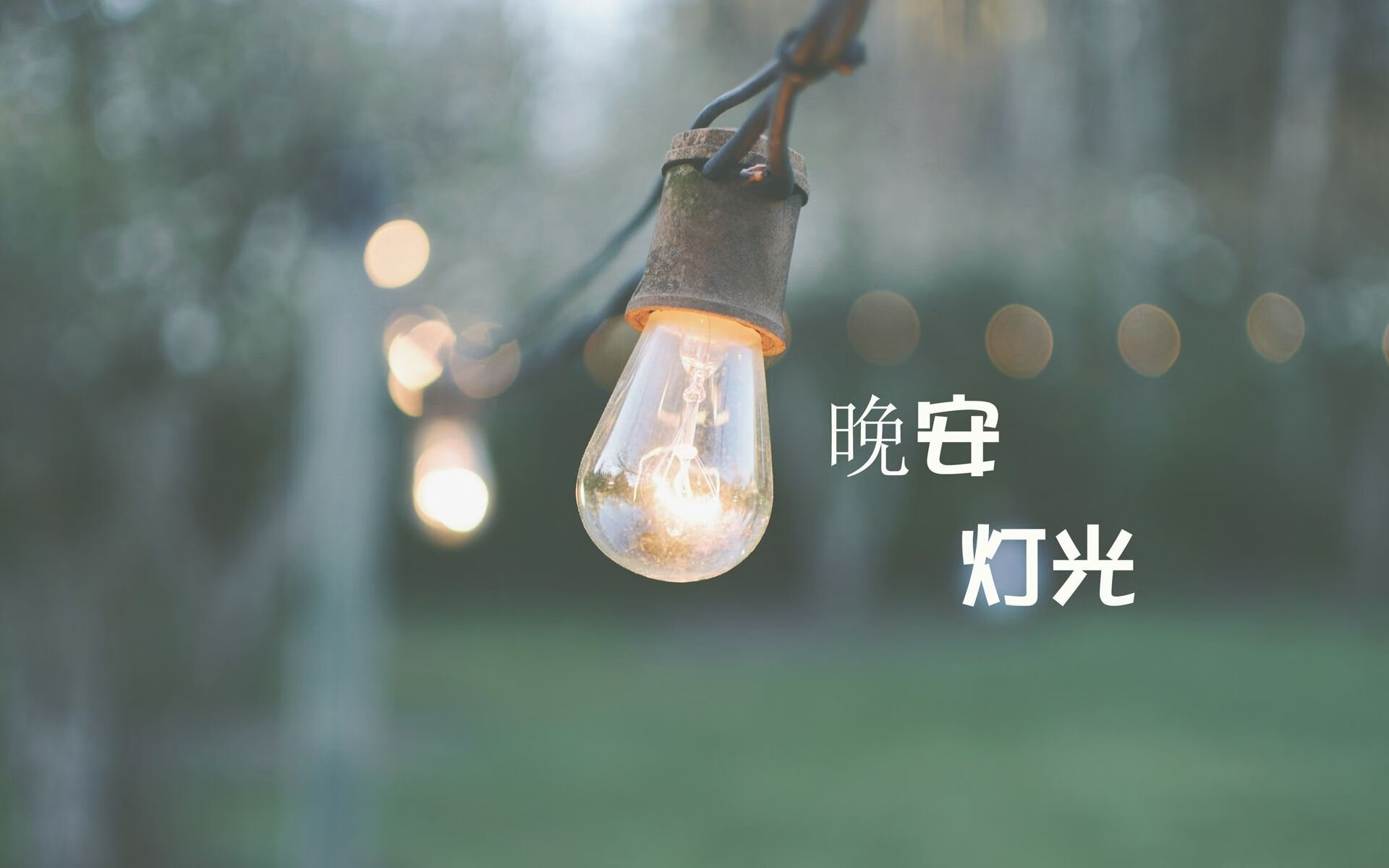 沃尔夫斯堡对决弗赖堡，谁能占尽上风？，沃尔夫斯堡vs费耶诺德