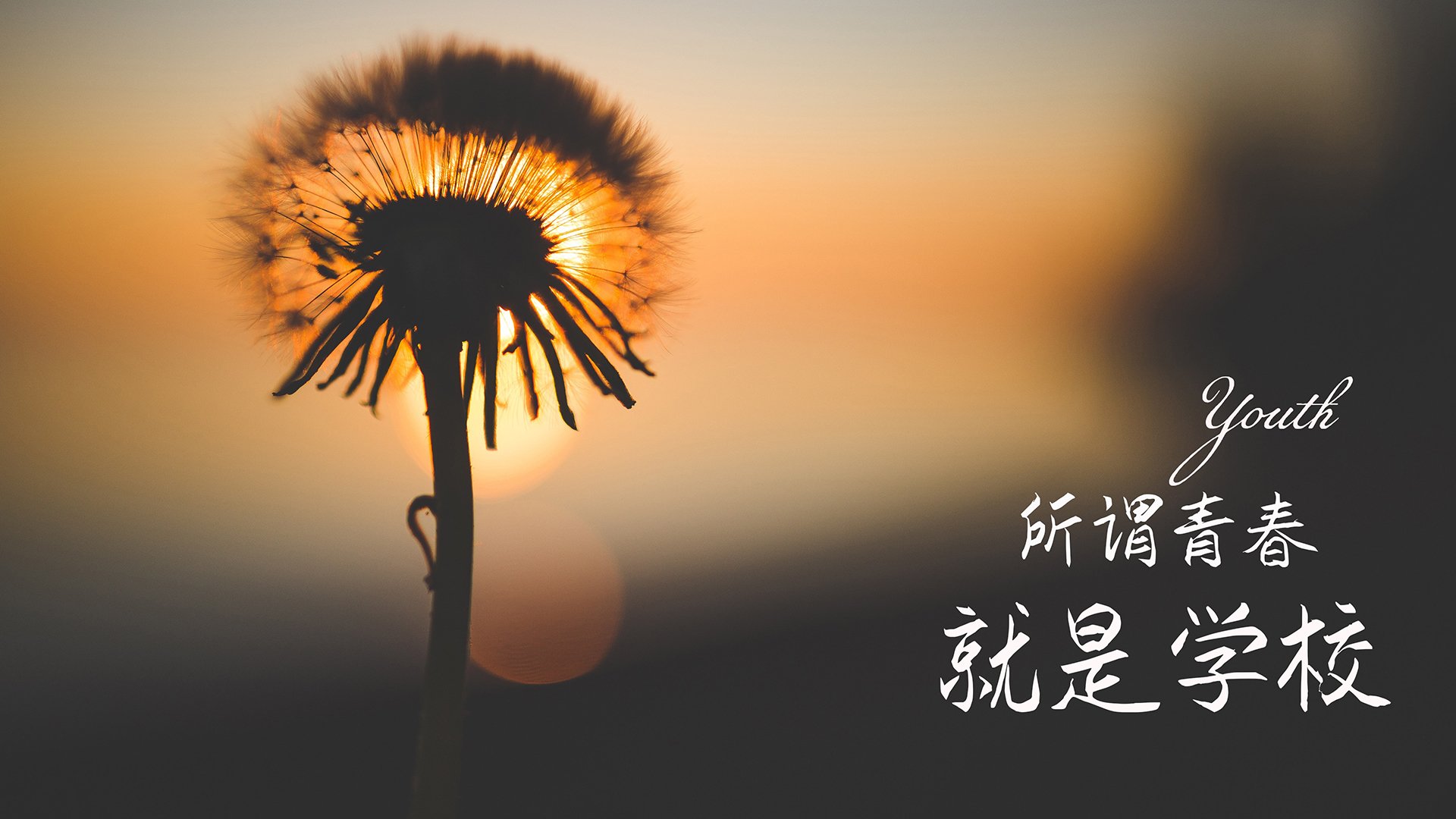 体育明星社交平台带动赛事宣传热度，打造体育明星