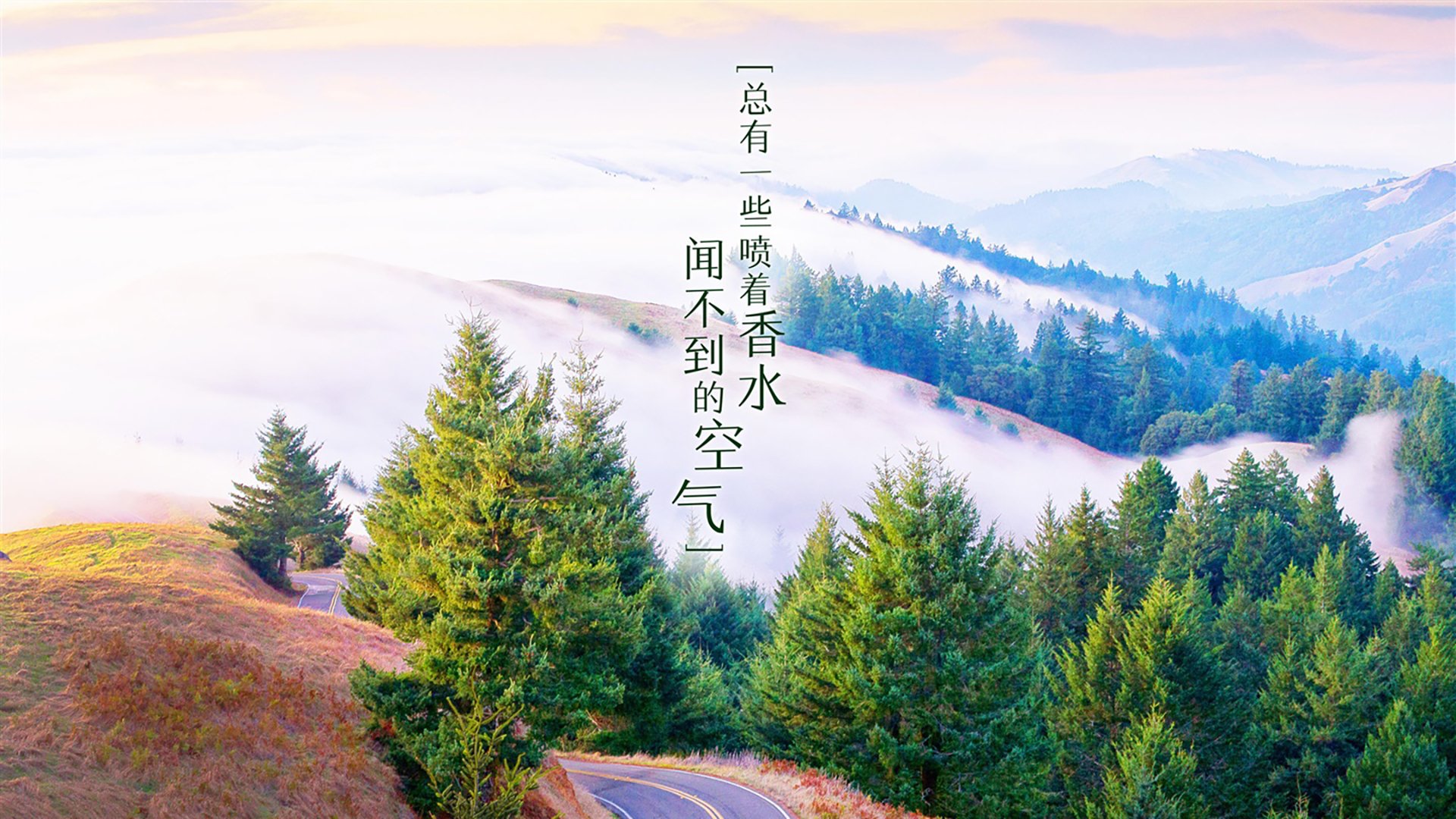 九游网页版入口-马刺状元秀命中制胜一球成为焦点，马刺为了状元签邓肯